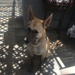 Meet your Posher, Haley